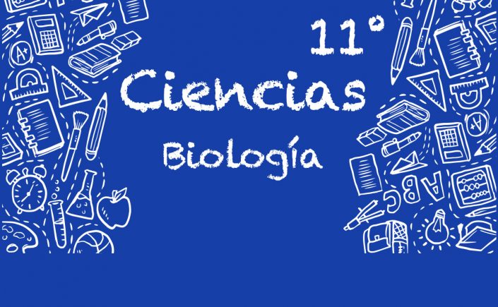 What types of relationships are established between the populations of a biological community and the anthropic processes of the environment - Biología 11º